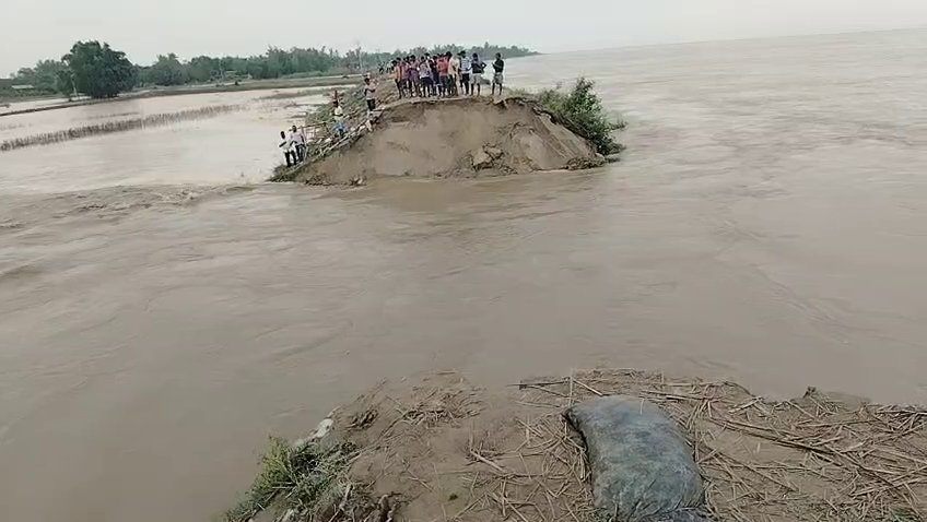मालदा की भूतनी में पुराना गंगा बांध टूटा, पानी तेजी से भर रहा है! फिर बाढ़ के खतरे से दो लाख लोग आतंकित