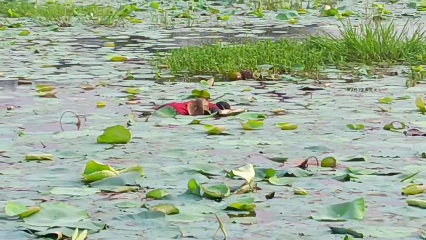 পদ্ম ফুল আনতে বেরিয়ে নিখোঁজ, সাত সকালে পুকুর থেকে উদ্ধার ব্যক্তির মৃতদেহ